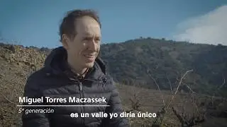 Familia Torres - Mas de la Rosa (Poda)