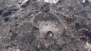 Необычные находки на необычном урочище!!!