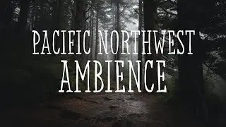 Pacific Northwest Ambience | Foggy Coastlines, Forest Trails & Misty Mountains | 30 Min 4K