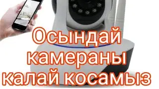 24 декабря 2023 г.