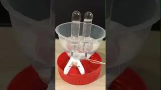 Electrolysis of water Timelapse 2H2O → 2H2 + O2