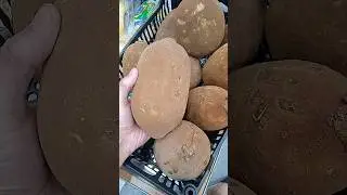 Самый дорогой в мире фрукт 
