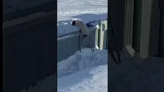 Побег