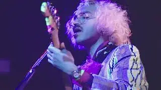 Julián Mayorga - La fiesta de la transmigracion de los pollos (EN VIVO)