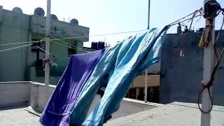 Windy day