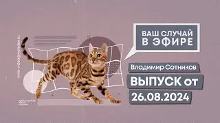 Ваш случай в эфире. Выпуск от 26.08.2024