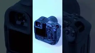 Canon EOS R1 Ahead of the Game