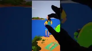picture in picture zoom