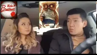 Приколы: А куда пойдем покушать...