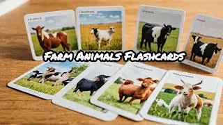 The MOST POPULAR Farm Animals Flashcards You've Never Seen