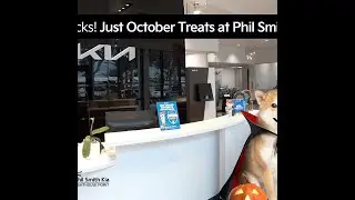 🎃 These Deals Are So Good, It's Scary! Treat Yourself to a New Kia This Halloween! 🚗