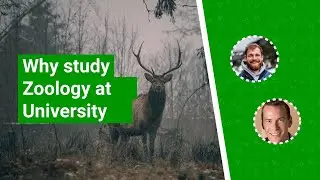 Zoology at University - what to expect and why you should consider it | UniTaster On Demand