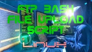FTP File Transfer In Bash On Linux