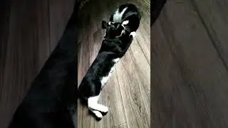 драка