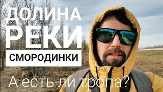 Долина реки смородинки. А есть ли тропа? | Прогулки по Ленобласти.