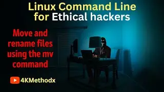 How to Move and Rename Files Using the mv Command #14