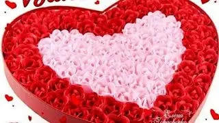 Наконец-то шарп кейс и шарп бокс выпустили на рынок! эх прощай шарп из магазина 😔