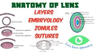 Anatomy of Lens | Crystalline lens