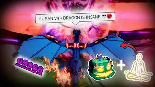 HUMAN V4 + DRAGON (WEST) is Literally INF DAMAGE... 💀 (Bloxfruits)
