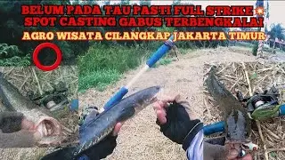 🔴SPOT CASTING IKAN GABUS JAKARTA TIMUR #mancing #mancingliar #mancinggabus