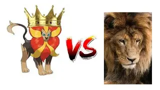 One Pokemon Lion VS 1 Billion Lions 