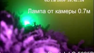Подводная камера Rivotek LQ 5025d. Лампа фонарь для зимней рыбалки для подсветки на глубине