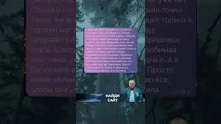 История из жизни