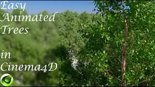 Easy Animated Trees in Cinema4D