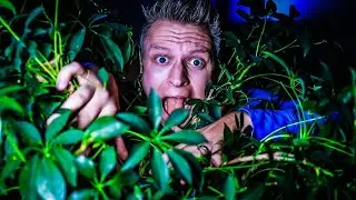 Lost In The Weeds