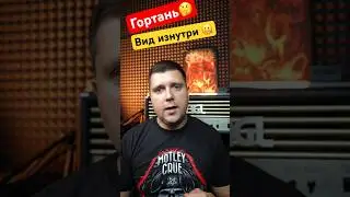 Ложные связки/драйв