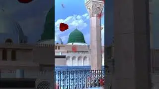 Noor Wala Aya Ha - Farhan Ali Qadri #islam #freepalestine #shorts #youtubeshorts #shortvideo #viral