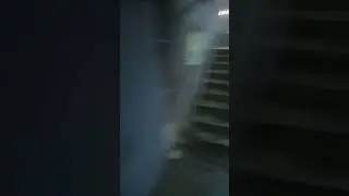 30 марта 2023 г. снежок..
