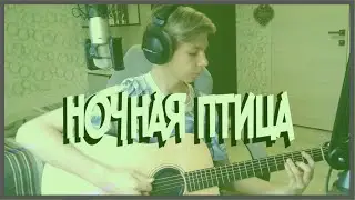 КАВЕР на ГИТАРЕ Ночная птица - Константин Никольский