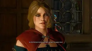 The Witcher 3: Wild Hunt #72 Пропавшие цыплята. Несвободный Новиград I. Сейчас или никогда