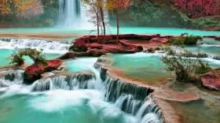 Musica de Relajacion. Sonidos del Bosque. Ideal para dormir.