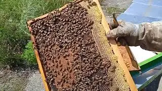 РАСШИРЕНИЕ ОТВОДКОВ