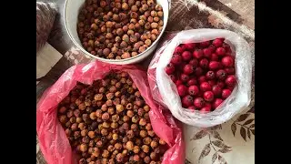 Боярышник на зиму, заготовки😉