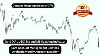 Gold XAUUSD M1 and M5 Scalping Indicator | Gold Indicator | Forex Money | Earn Online Money