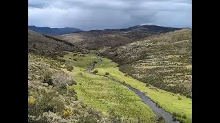 El Hayedo de Tejera Negra en primavera
