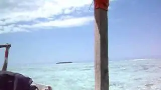 IMGP4419