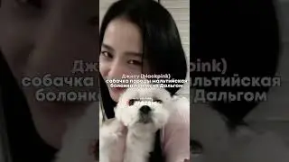 айдолы, у которых есть домашние питомцы 💗