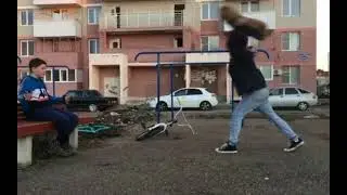 лови пенёк