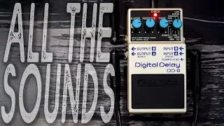 BOSS DD-8 // Digital Delay | ALL THE SOUNDS [NO TALK / ONLY TONES]