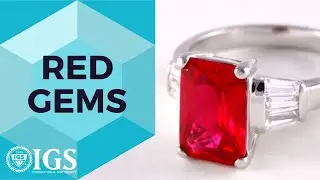 Unleash the Passion of Red Gems!