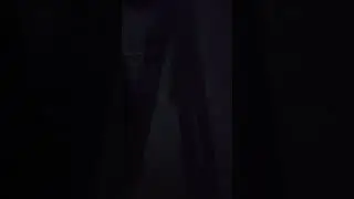 напугал стигли
