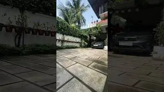 എന്റെ old hanging plants | voiceover 🎙️ part 1 Episcia varieties | #garden #homegardens