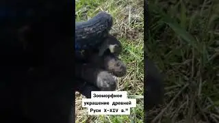 Мечта сбылась! Коп древности с металлоискателем #коп #поискмонет #поисккладов