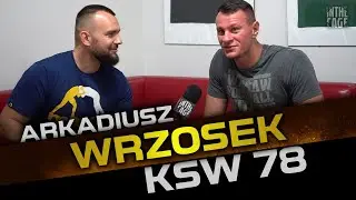 Arek WRZOSEK vs Artur SZPILKA | Stare sparingi | Rewanż z Sararą | Pomoc Overeema | Impas z Glory