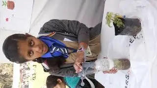 Mansi's Experiment