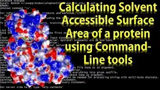 Calculating Solvent Accessible Surface Area using Command Line tools